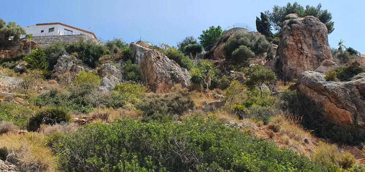 La Algarabia Villa La Herradura